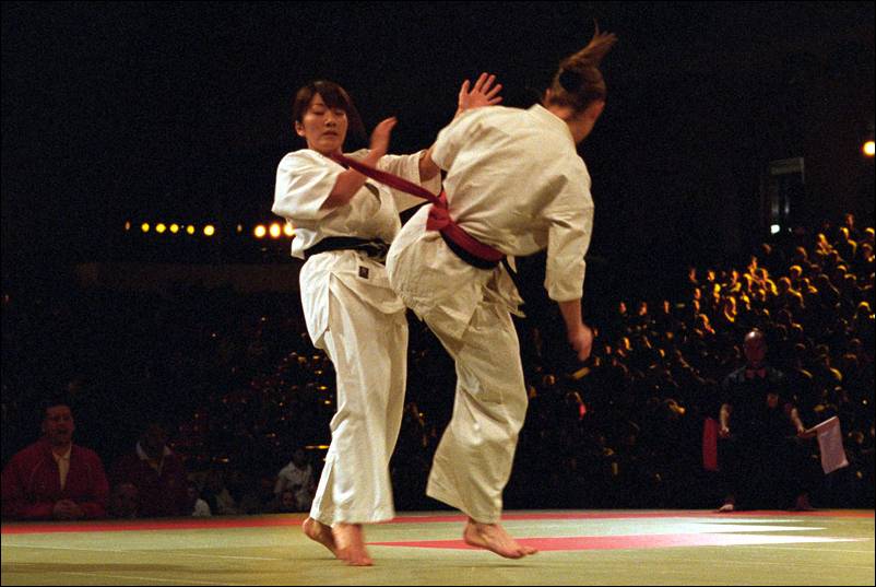 ushiro-mawashi-geri