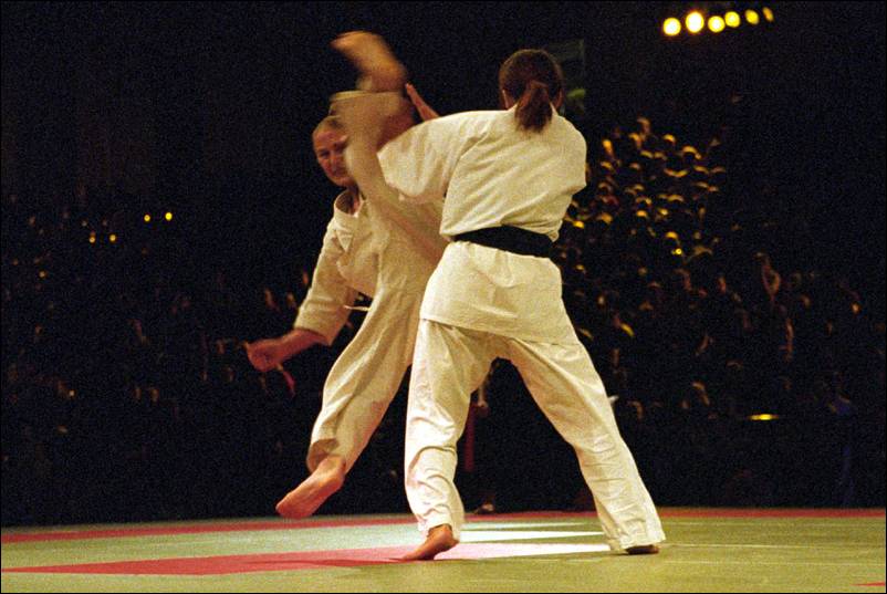 ushiro-mawashi-geri