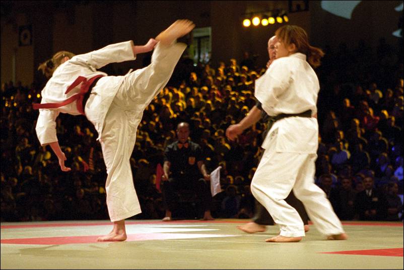 ushiro-mawashi-geri