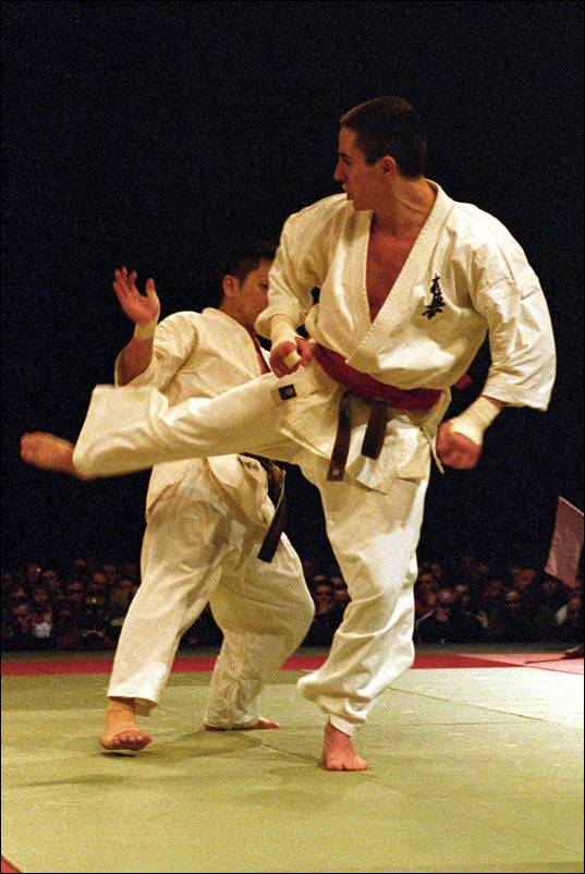 ushiro-mawashi-geri