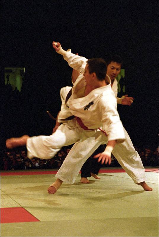 ushiro-mawashi-geri