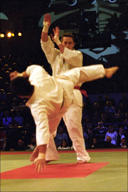 ushiro-mawashi-geri