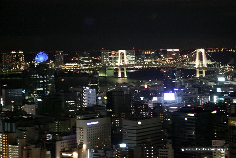 Tokio noca