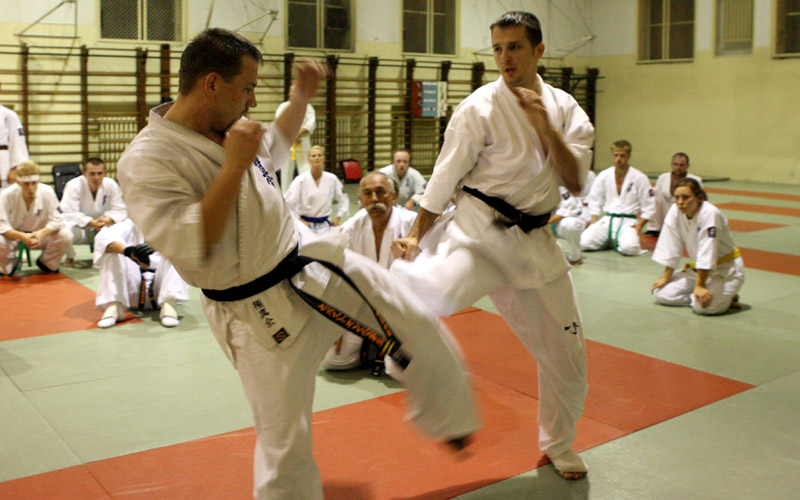 Trening odruchu w kumite:<br>zejscie przed low-kick